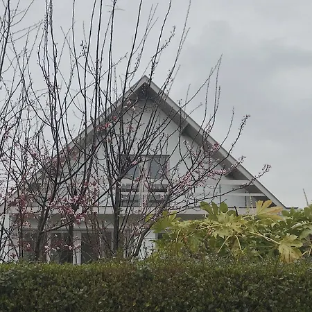Zuid