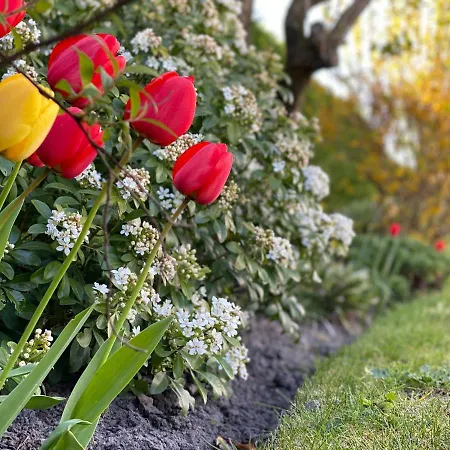 Σπίτι διακοπών Zuid De Haan